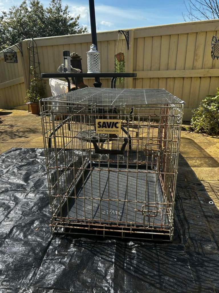 Medium/large dog cage used 