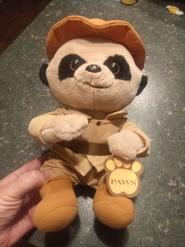 Baby meerkat