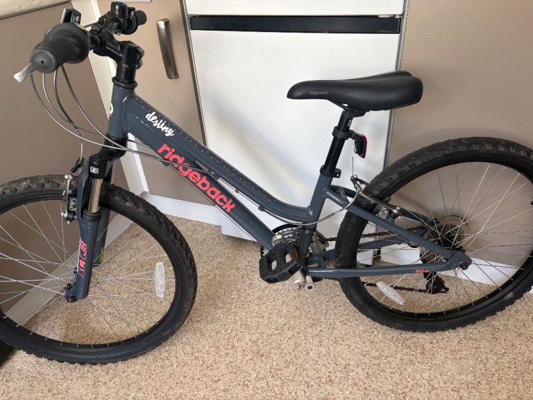 Ridgeback destiny bike 24 inch wheels 