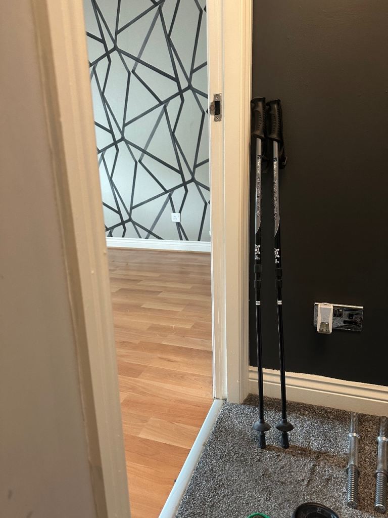 Hill walking sticks 