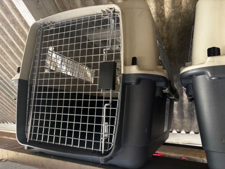 Airline Cat Carriers 