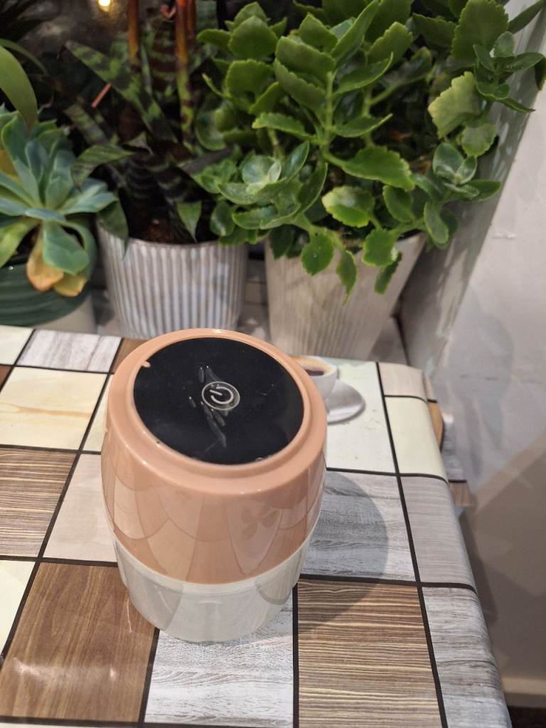 Food chopper with USB