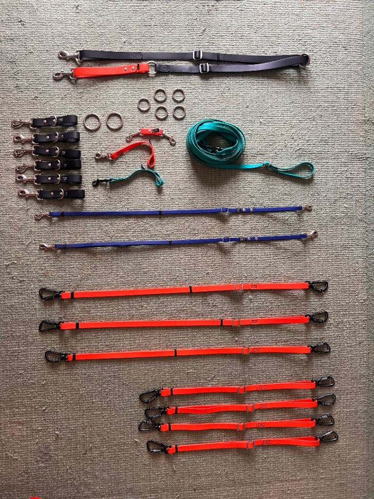 Dog Walkers Starter Set