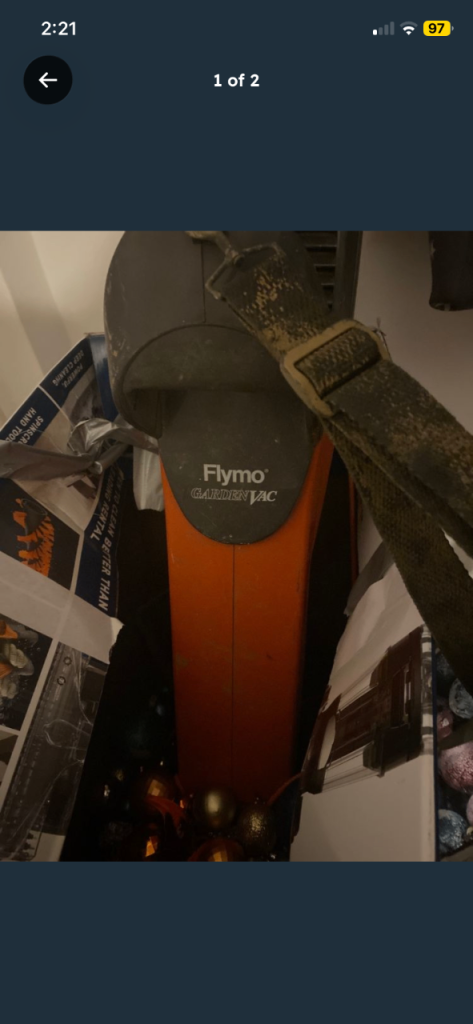 Leaf blower 