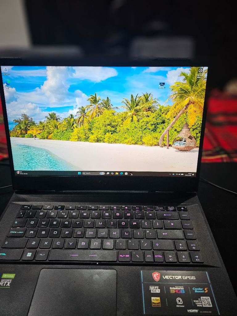 MSI VECTOR GP66 HIGH END GAMING LAPTOP 165HZ