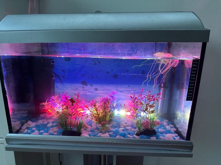 Fish tank