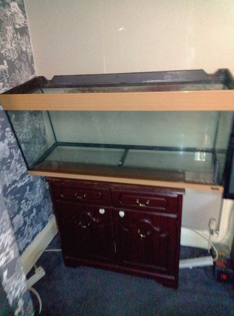 4ft fish tank 