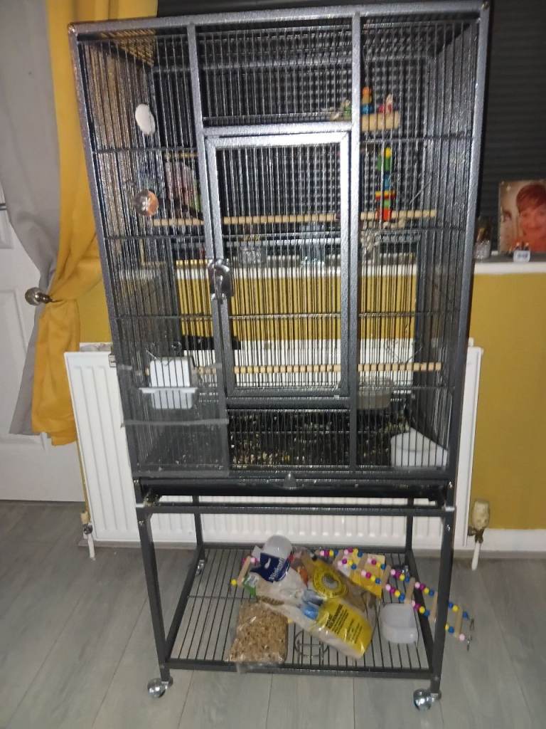Bird cage
