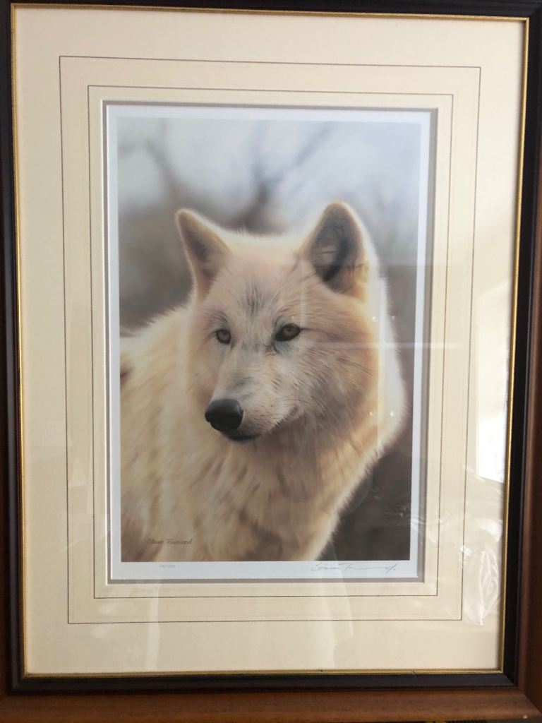 Stephen Townsend Print 