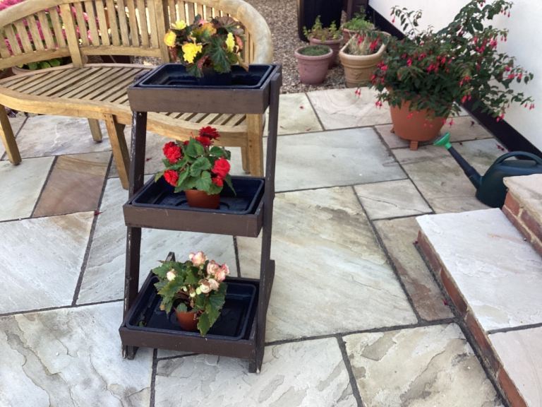 3tier plant stand with 3 begonias 