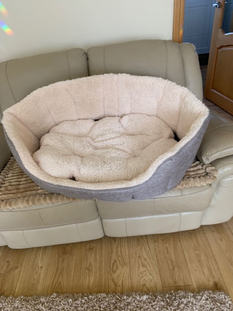 Dog bed 