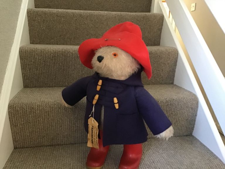Paddington Bear 