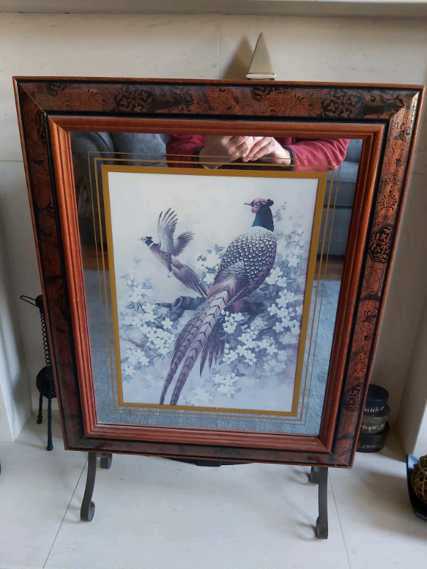 Decorative Fire Shield