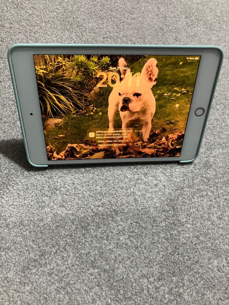 iPad mini 5th generation 64gb WiFi and Cellular 