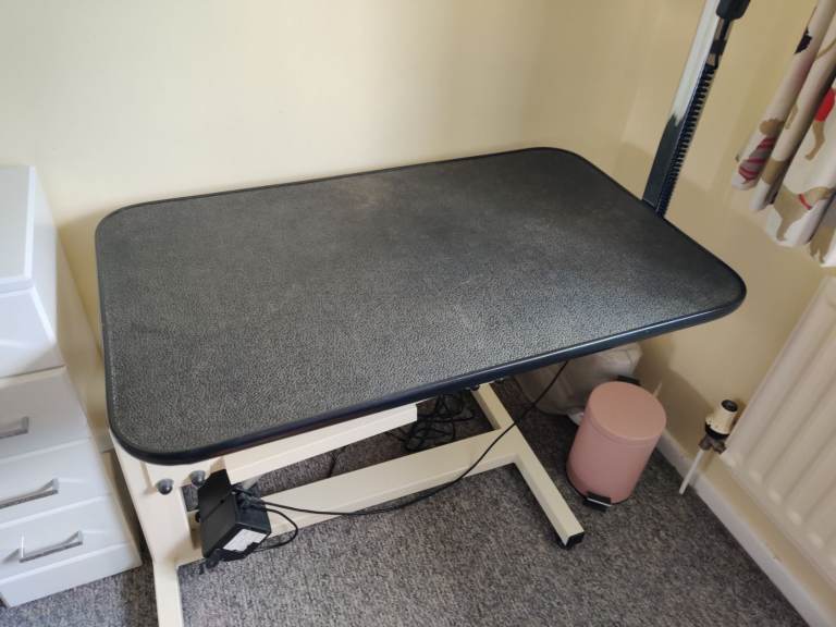 Electric Grooming Table