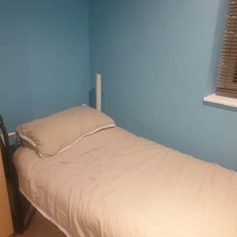 Pleasant large single room