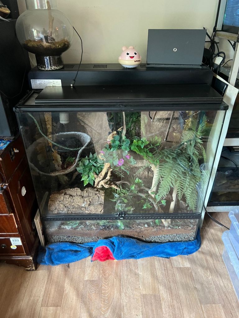 XL Exo Terra