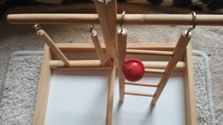 Bird toy suit Finch or canary new never used £8