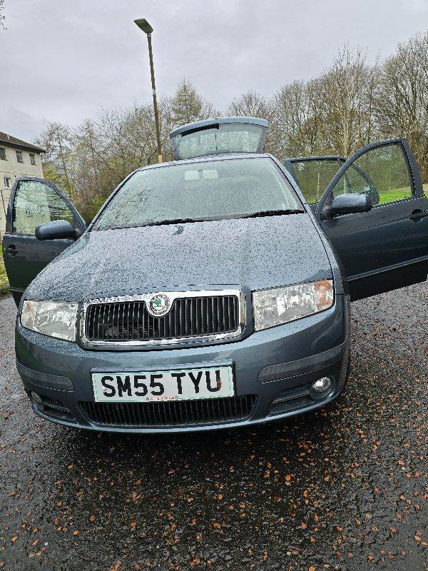 Perfect car, skoda fabia