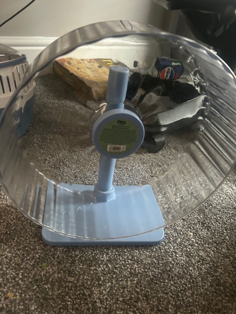 Syrian hamster accessories