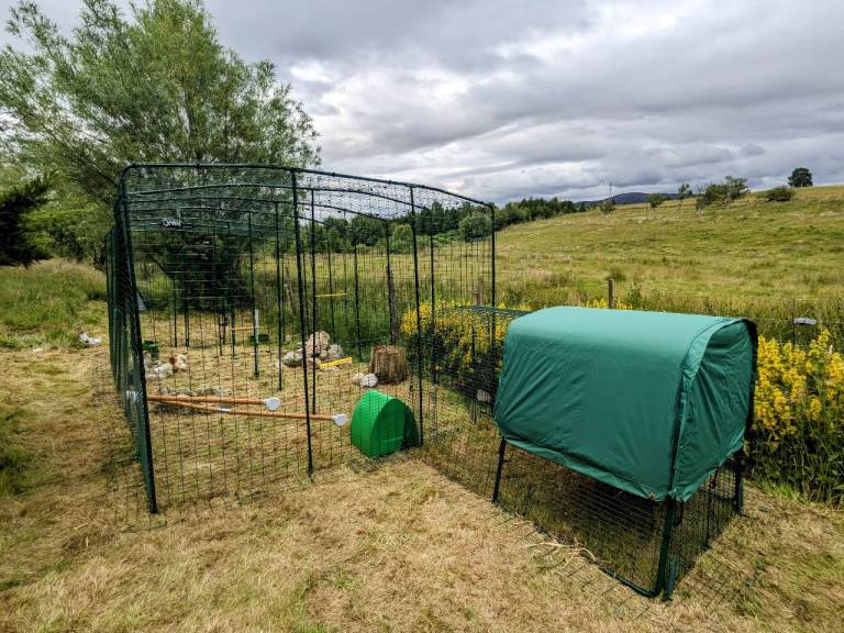 Omlet Cube & Walk in Run with Accessories 