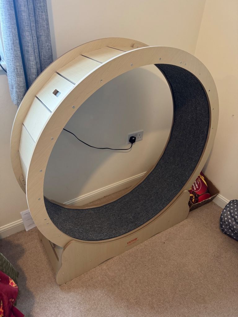 Large Cat Exercise Wheel