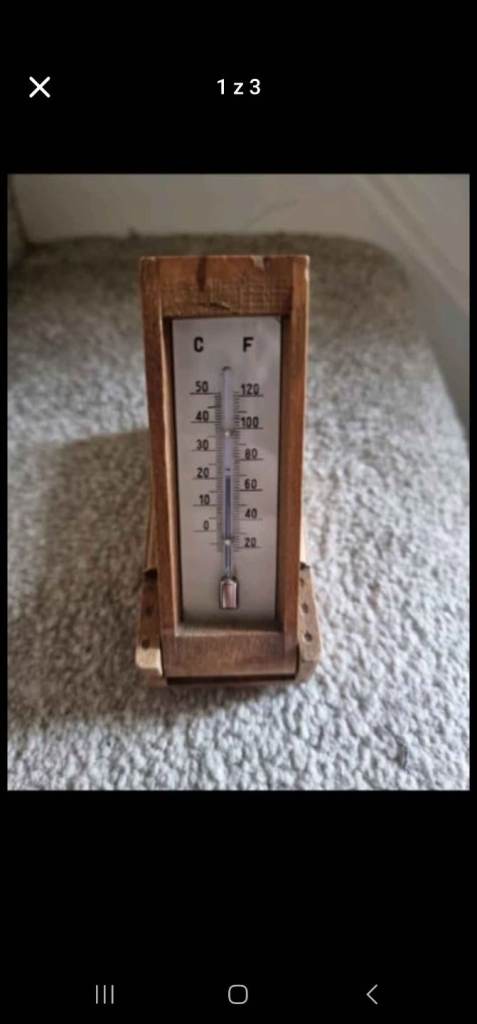 Antique/vintageBlack Forest Travel Thermometer Desk Top Edelweiss Tree