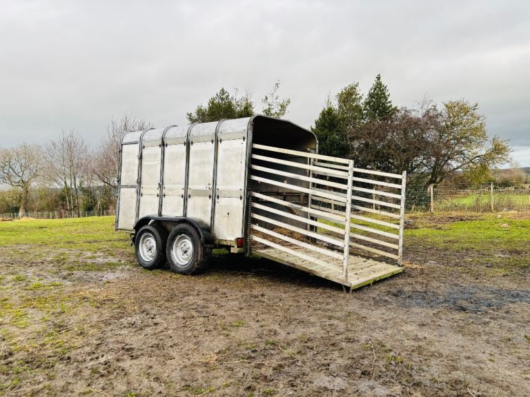 Cattle trailer 