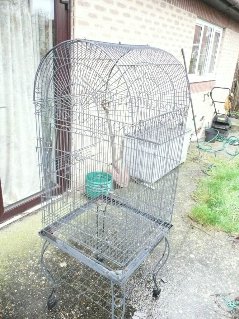 Large parrot cage