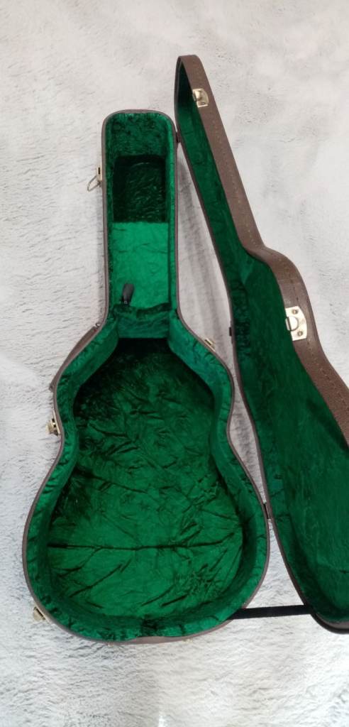 Faith electro acoustic guitar Hardcase. Has Some small rips as its been used a lot. Hard case