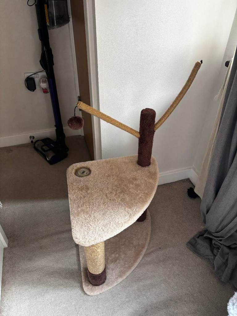cat tree