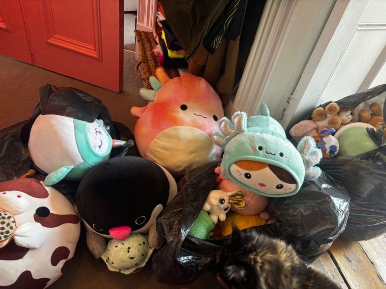 Free selection of soft toys 