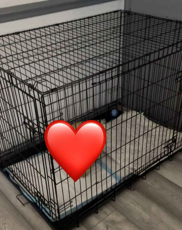 Extra large dog crate / cage 