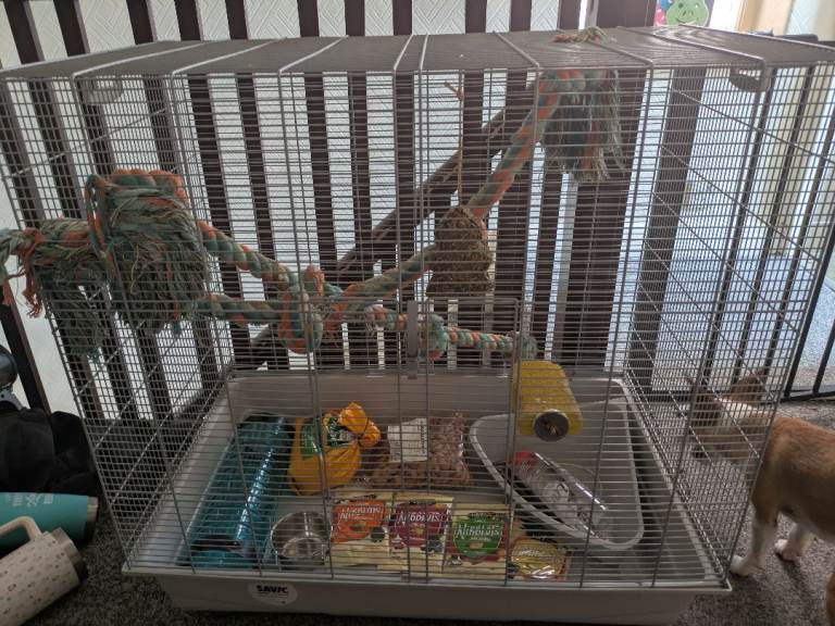 Rat cage 