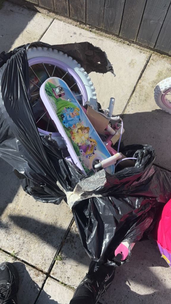 Kids Disney princess bike 