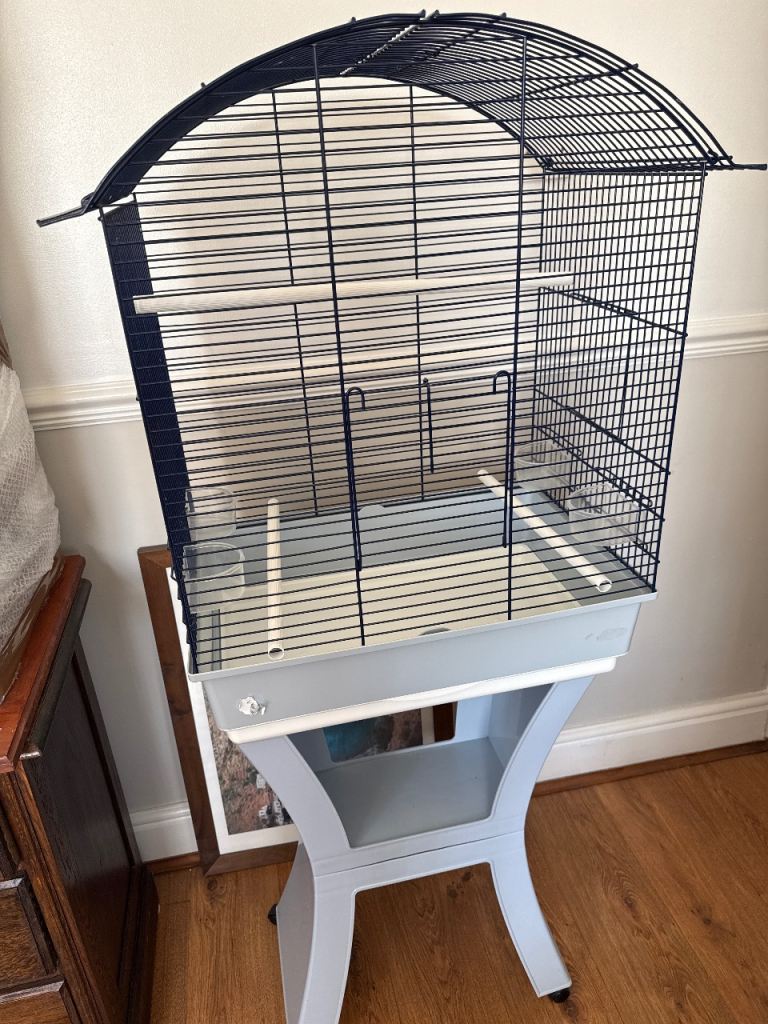 Bird cage 