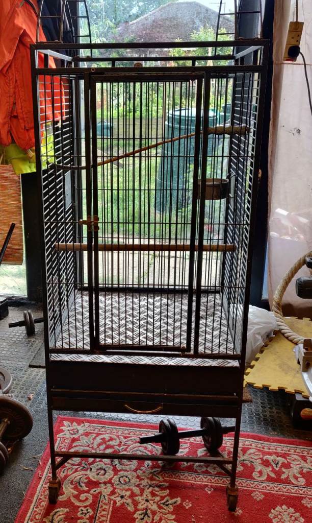 Parrot cage 