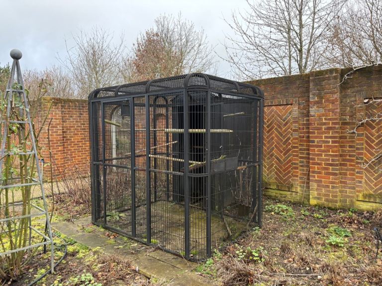 FREE large walk in aviary cage