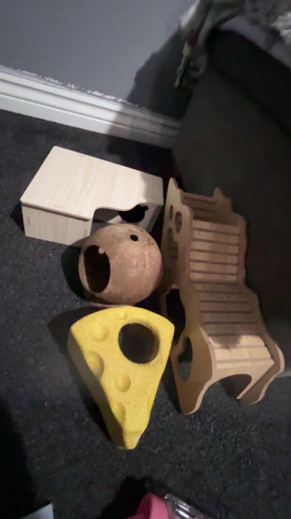 Hamster/rat hides