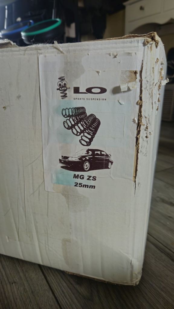Lo 25mm lowering springs 