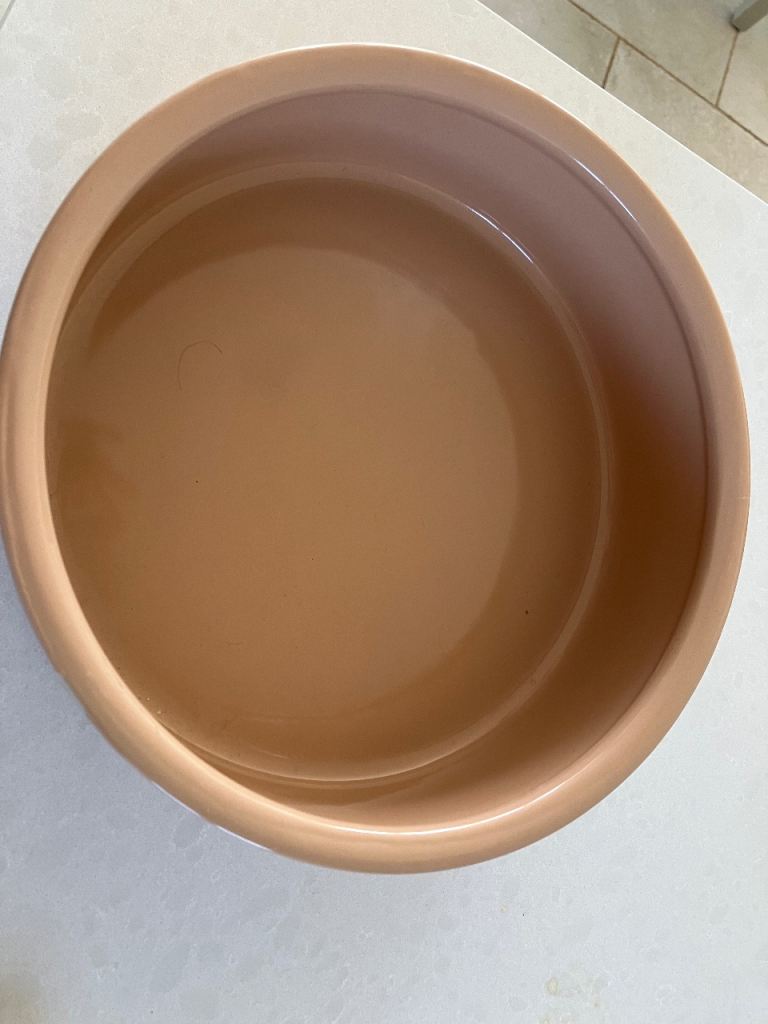 Mason and Cash Extra Large Dog Bowl