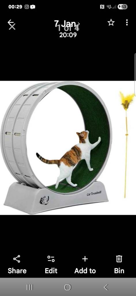 Cat Exercise Wheel / Treadmill 