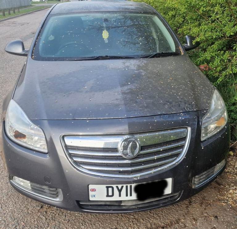 Vauxhall Insignia  Bonnet Grey 2011