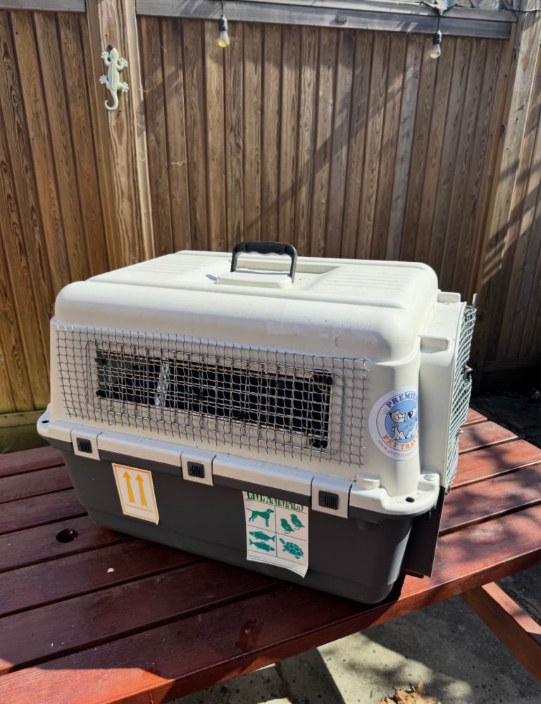 Large animal kennel