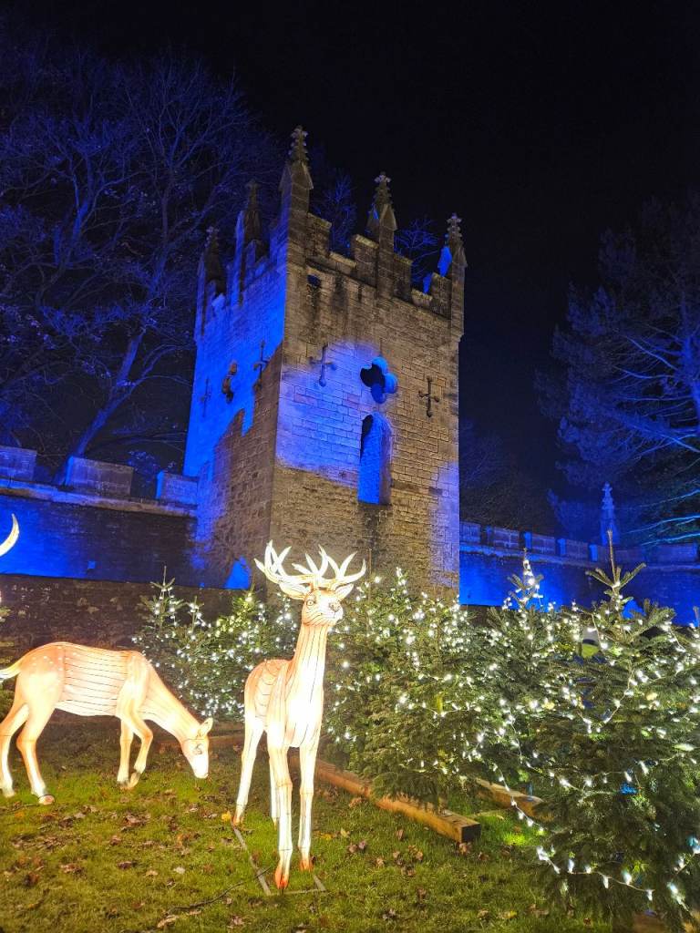 Wanted Mobility scooter 