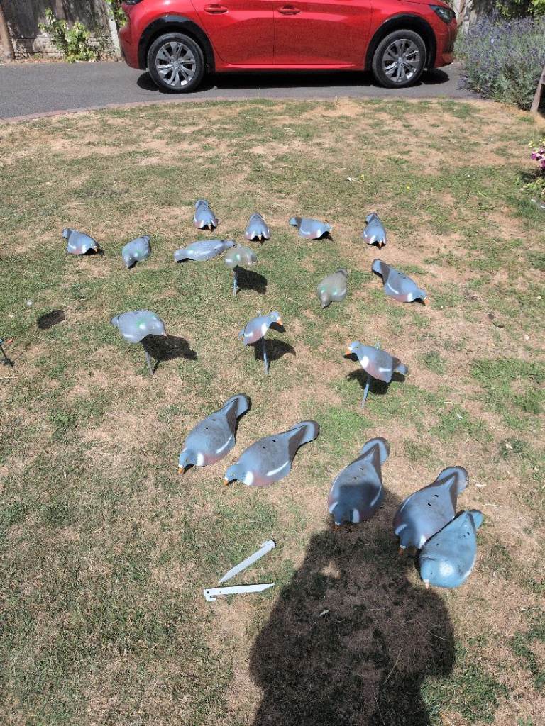 Decoy Pigeons - Set of 19 Good Condition