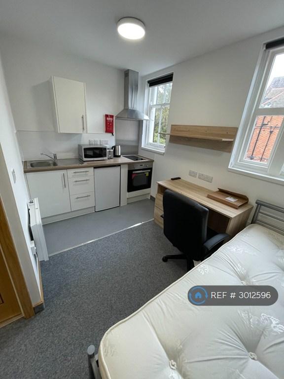 Studio flat in Regent Road, Leicester, LE1 (#3012596)