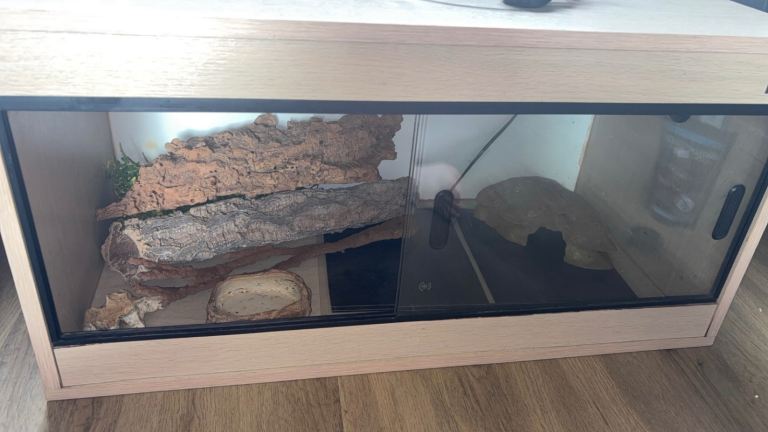 2 And Half Foot Reptile Vivarium
