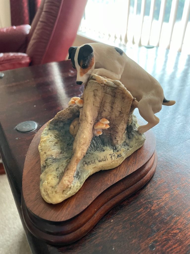 Jack Russell hunting a rabbit 