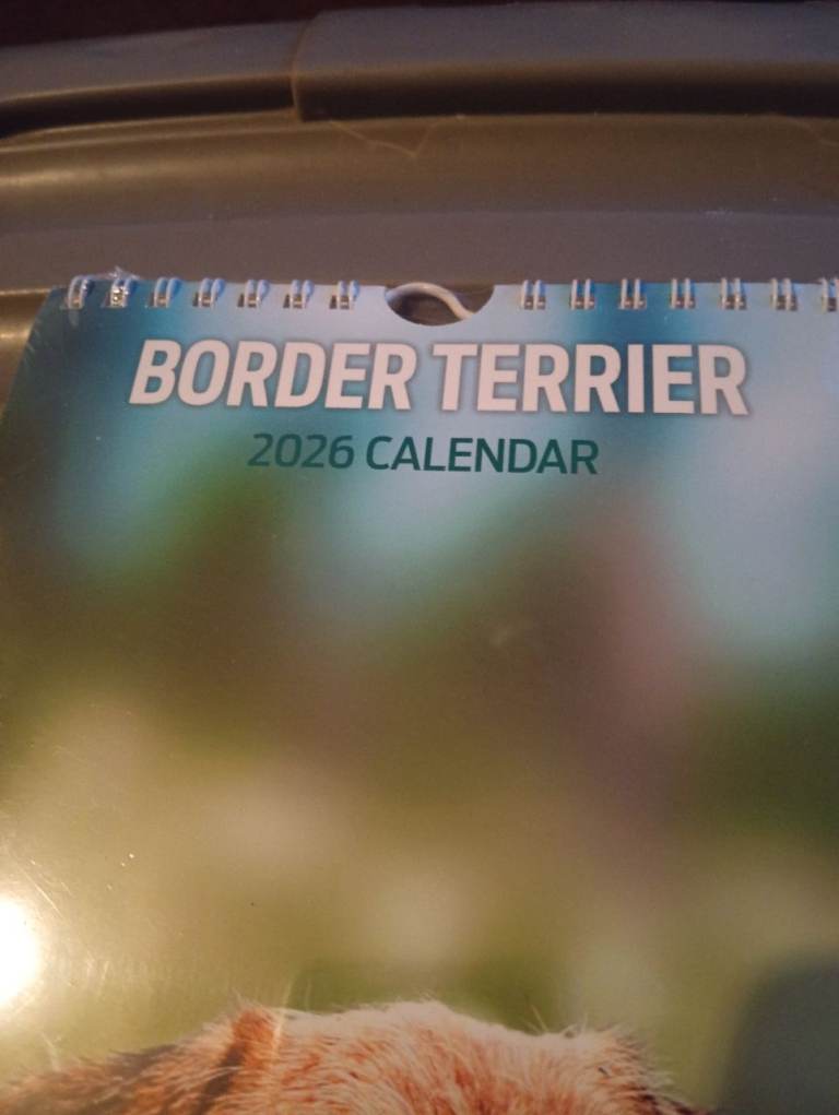 Border terrier 2026 calendar 